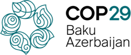 COP29